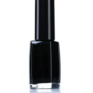 Pierre René Nail Polish 302 Devil Black