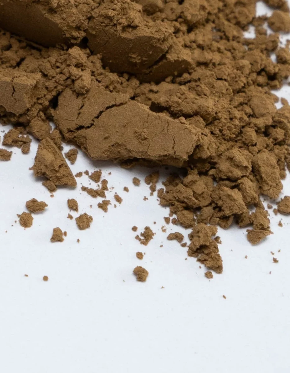 Bio Hojicha Pulver – Gerösteter Grüntee aus Japan (10g) - Bild 3